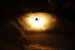 Colorado Outdoor Lighting Path Light