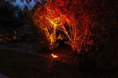 Close Up View of Well Light with Orange Lens Cover
